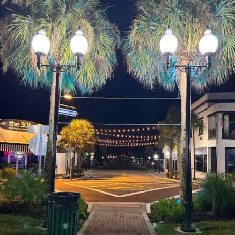  - Sebring_hotels_downtown_trees_1.jpg