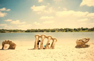 The Donaldson Park in Avon Park Beach with fake dinosaur bone style jungle gym for kids. 