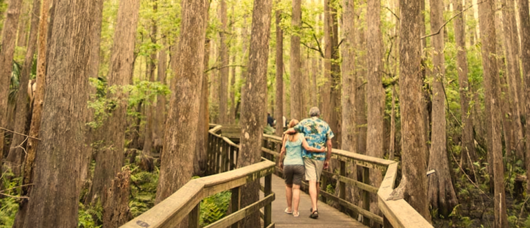A wood bridge on the HIghland Hammock Trail.