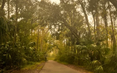 Highland Hammock State Park: Why You Have to Visit