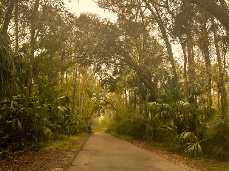 Highland Hammock State Park: Why You Have to Visit